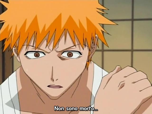 Otaku Gallery  / Anime e Manga / Bleach / Screen Shots / Episodi / 017 - Ichigo muori / 119.jpg